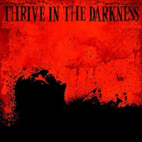 Ceejay — Thrive In The Darkness — обложка